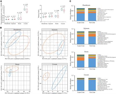 Multi-Omics Association Reveals the Effects of Intestinal Microbiome–Host Interactions on Fat Deposition in Broilers